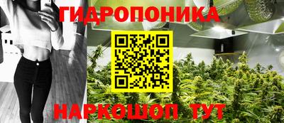 mdpv Можга
