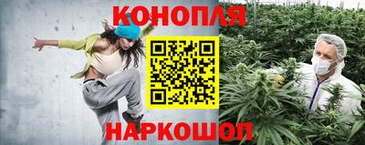 mdpv Можга