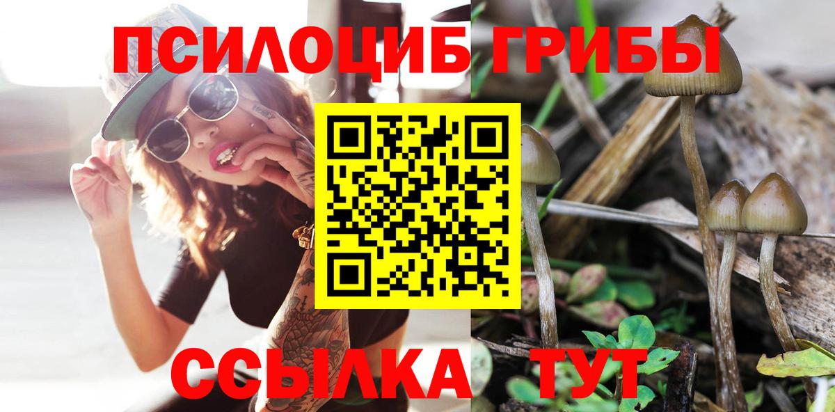 Шебекино  Псилоцибиновые грибы Magic Shrooms  Вход с VPN 