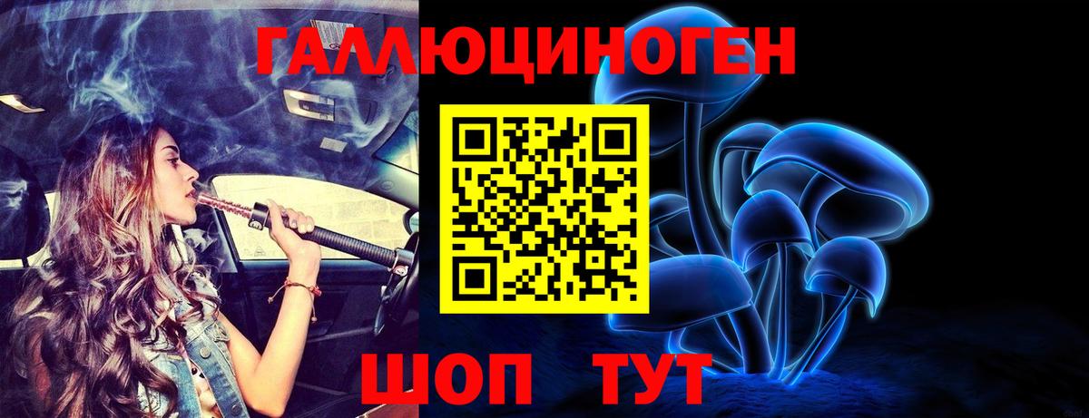 Галлюциногенные грибы Cubensis Шебекино